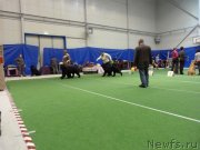 Превью фото № 145146