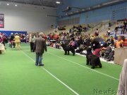 Превью фото № 145148