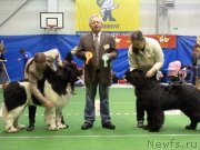 Превью фото № 145151