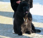 Превью фото № 145165