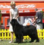 Превью фото № 14517