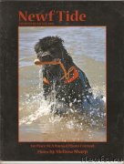 Превью фото № 145304