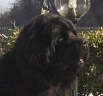 Превью фото № 14536