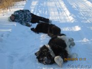 Превью фото № 145441