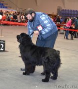 Превью фото № 145448
