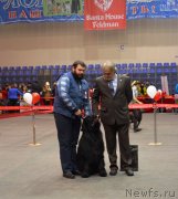 Превью фото № 145449