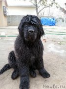 Превью фото № 145462