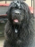 Превью фото № 145463