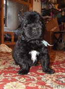 Превью фото № 145552