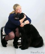 Превью фото № 145624