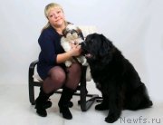 Превью фото № 145625