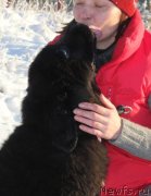 Превью фото № 145644