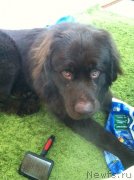 Превью фото № 145734