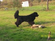 Превью фото № 145736