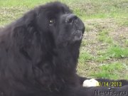 Превью фото № 145741