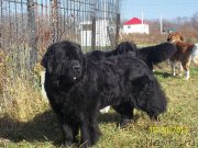 Превью фото № 145747