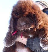 Превью фото № 146134