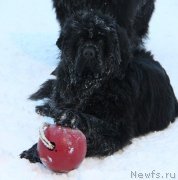 Превью фото № 146194