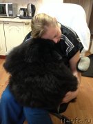 Превью фото № 146207