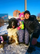 Превью фото № 146321