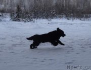 Превью фото № 146373