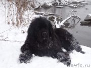 Превью фото № 146376