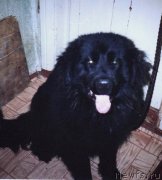 Превью фото № 146560