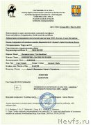 Превью фото № 146600