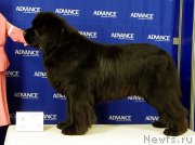 Превью фото № 146602