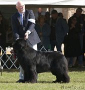 Превью фото № 146603