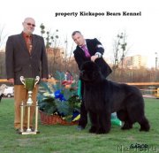 Превью фото № 146630