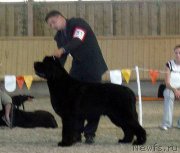 Превью фото № 146646