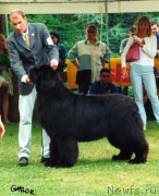 Превью фото № 146647