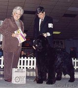 Превью фото № 146648