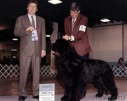 Превью фото № 146649