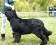 Превью фото № 146673