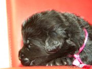 Превью фото № 146682