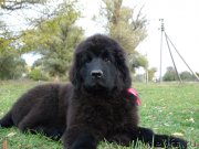 Превью фото № 146689