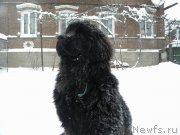 Превью фото № 146699