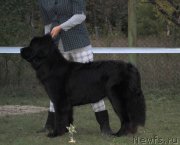 Превью фото № 146701