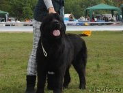 Превью фото № 146703