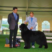 Превью фото № 146739