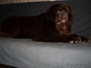 Превью фото № 146743