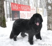 Превью фото № 146764