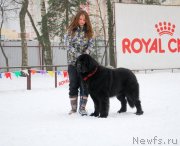 Превью фото № 146767