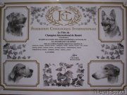 Превью фото № 146849