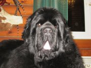 Превью фото № 146877