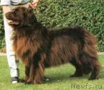 Превью фото № 1469