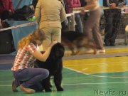 Превью фото № 146949