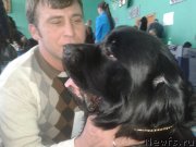 Превью фото № 147046